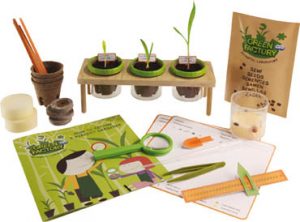 hunnie_green factory 01