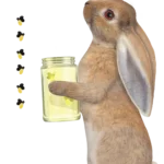 stickytales-konijnemmy-hunnie